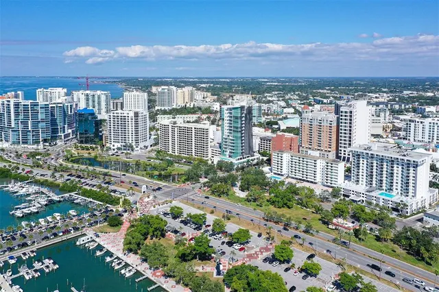 a view of a city and a lot of flower plants