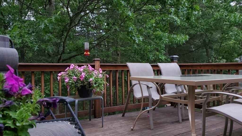8 Triphammer Road Sharon, MA 02067 - Photo 36 of 41 Gallery Image 36