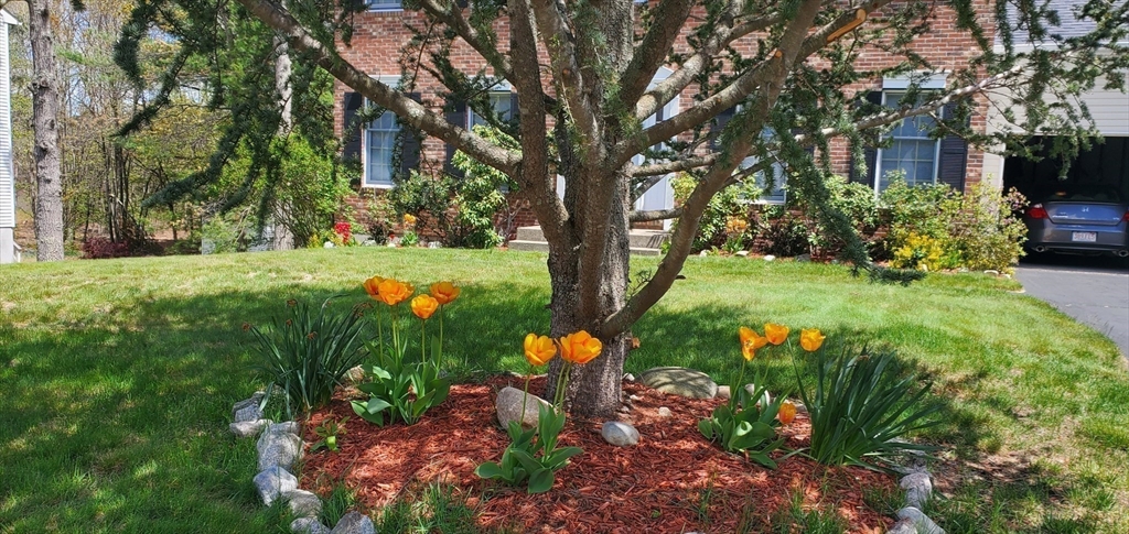 8 Triphammer Road Sharon, MA 02067 - Photo 40 of 41 Gallery Image 40