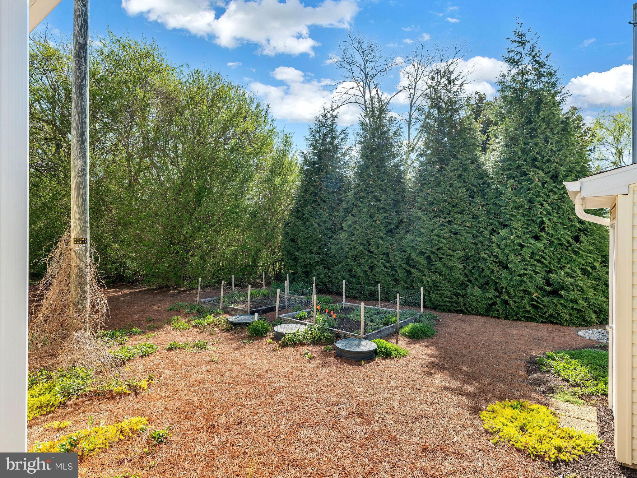 9811 Peerless Road Bishopville, MD 21813 - Photo 30 of 66 a view of a basketball court