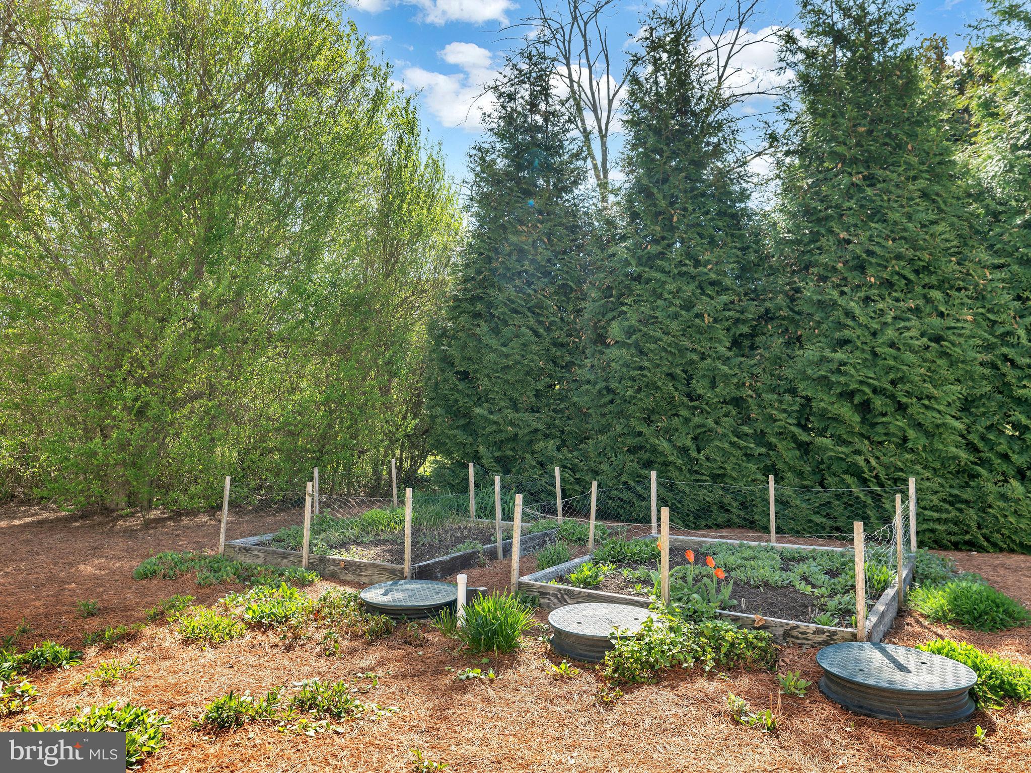 9811 Peerless Road Bishopville, MD 21813 - Photo 33 of 66 a backyard of a house with lots of green space
