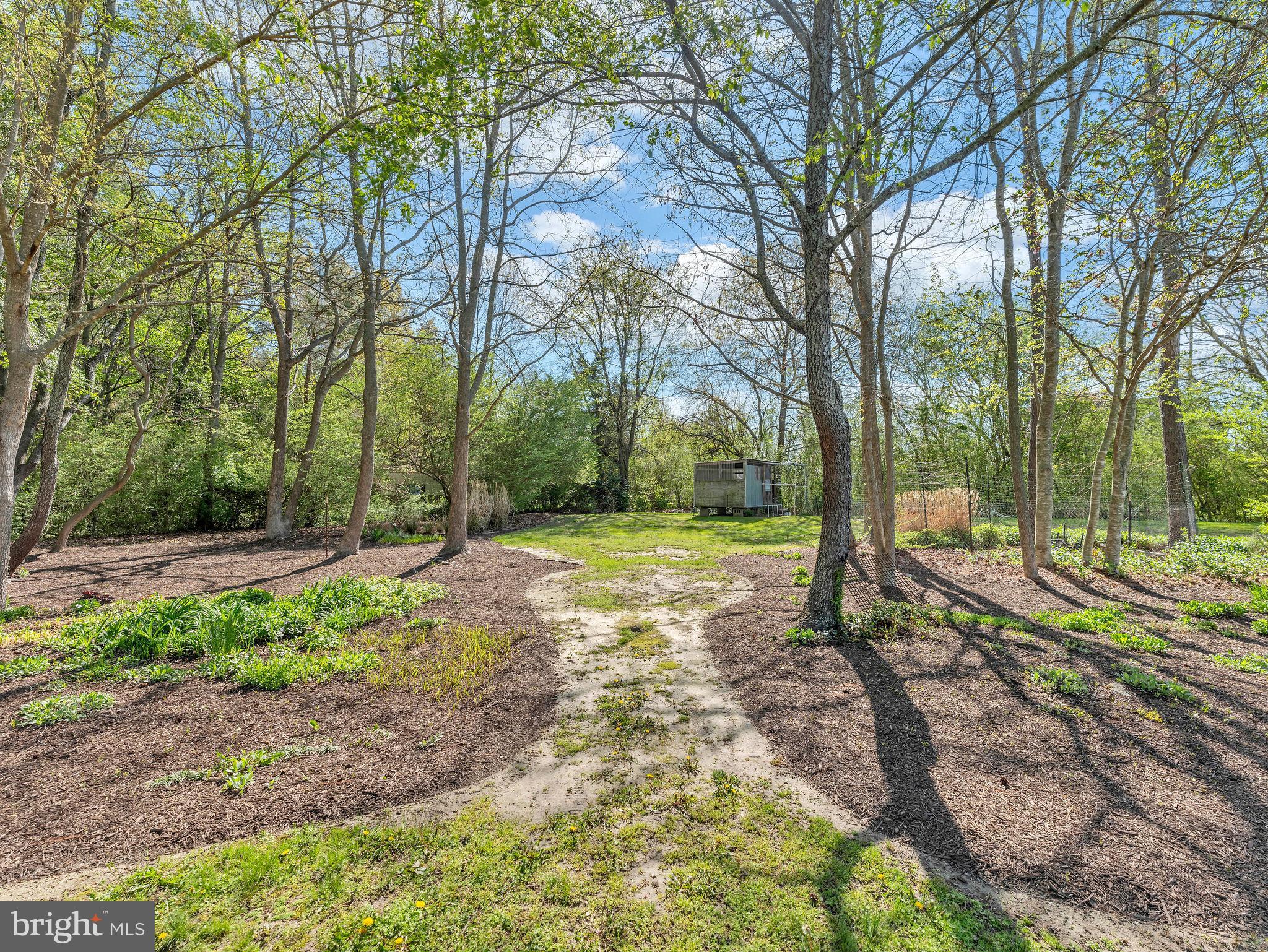 9811 Peerless Road Bishopville, MD 21813 - Photo 37 of 66 a view of a yard with tree s