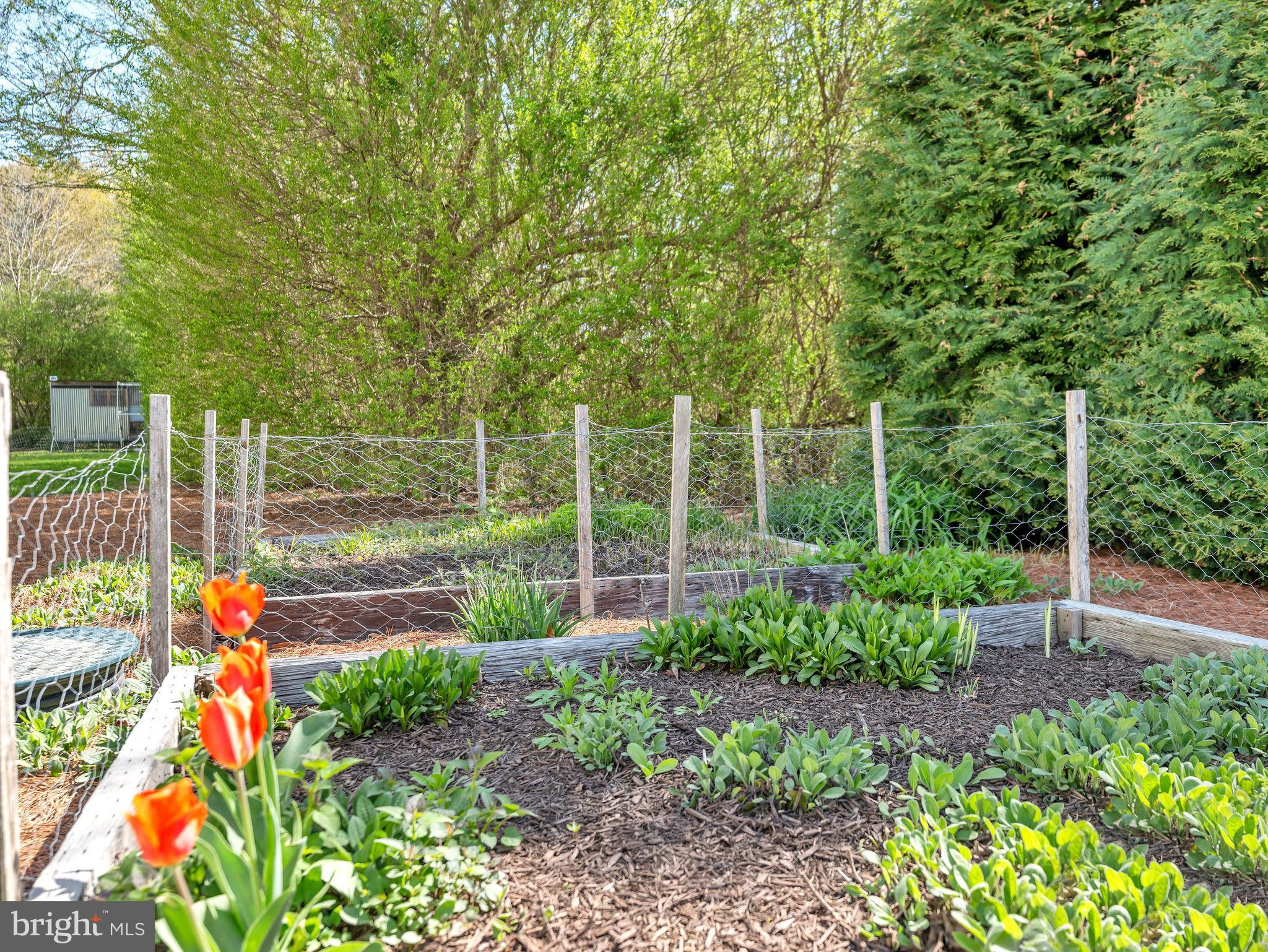 9811 Peerless Road Bishopville, MD 21813 - Photo 60 of 66 a garden view