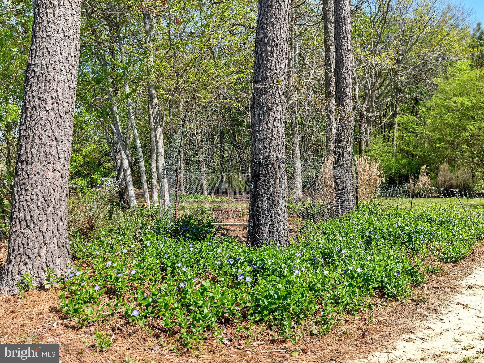 9811 Peerless Road Bishopville, MD 21813 - Photo 61 of 66