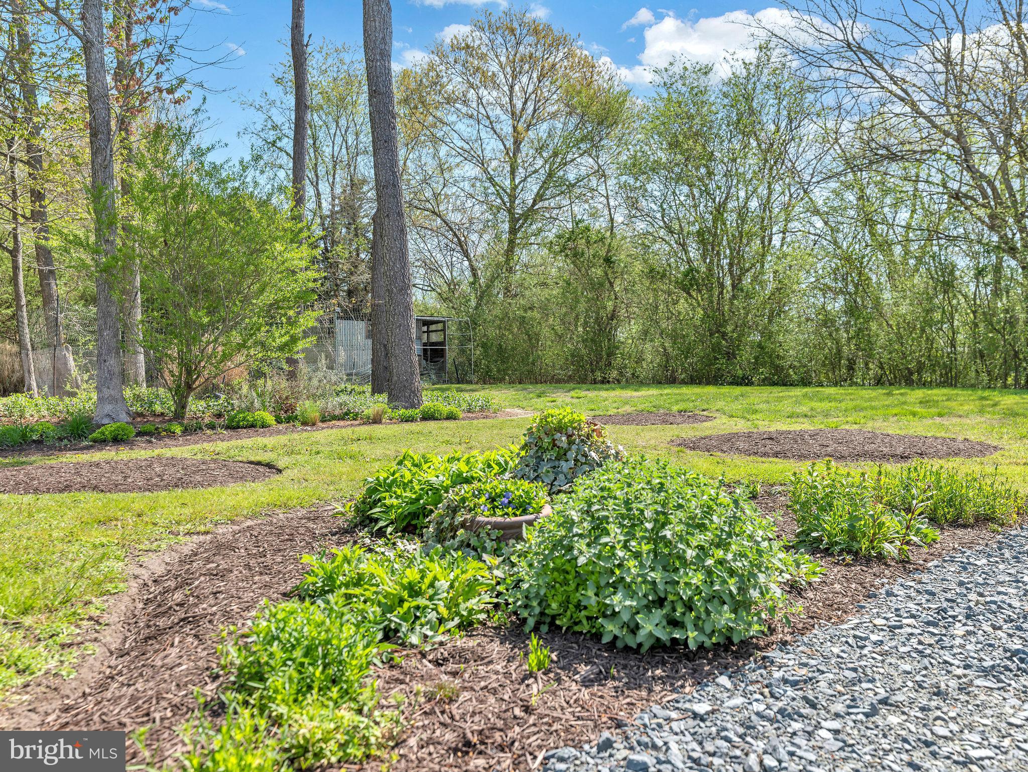 9811 Peerless Road Bishopville, MD 21813 - Photo 63 of 66 a view of a yard with large trees