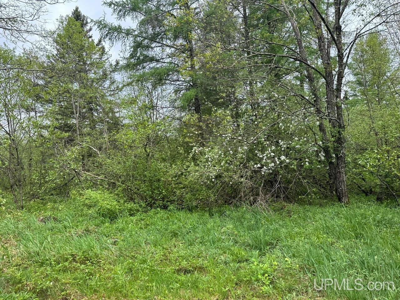 1390 North Co Road Skandia, MI 49885 - Photo 15 of 22