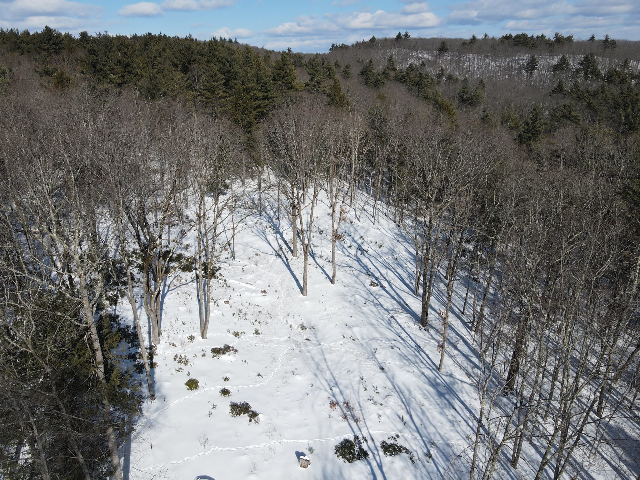 0 Fox Hill Road Bernardston, MA 01337 - Photo 3 of 18 Gallery Image 3