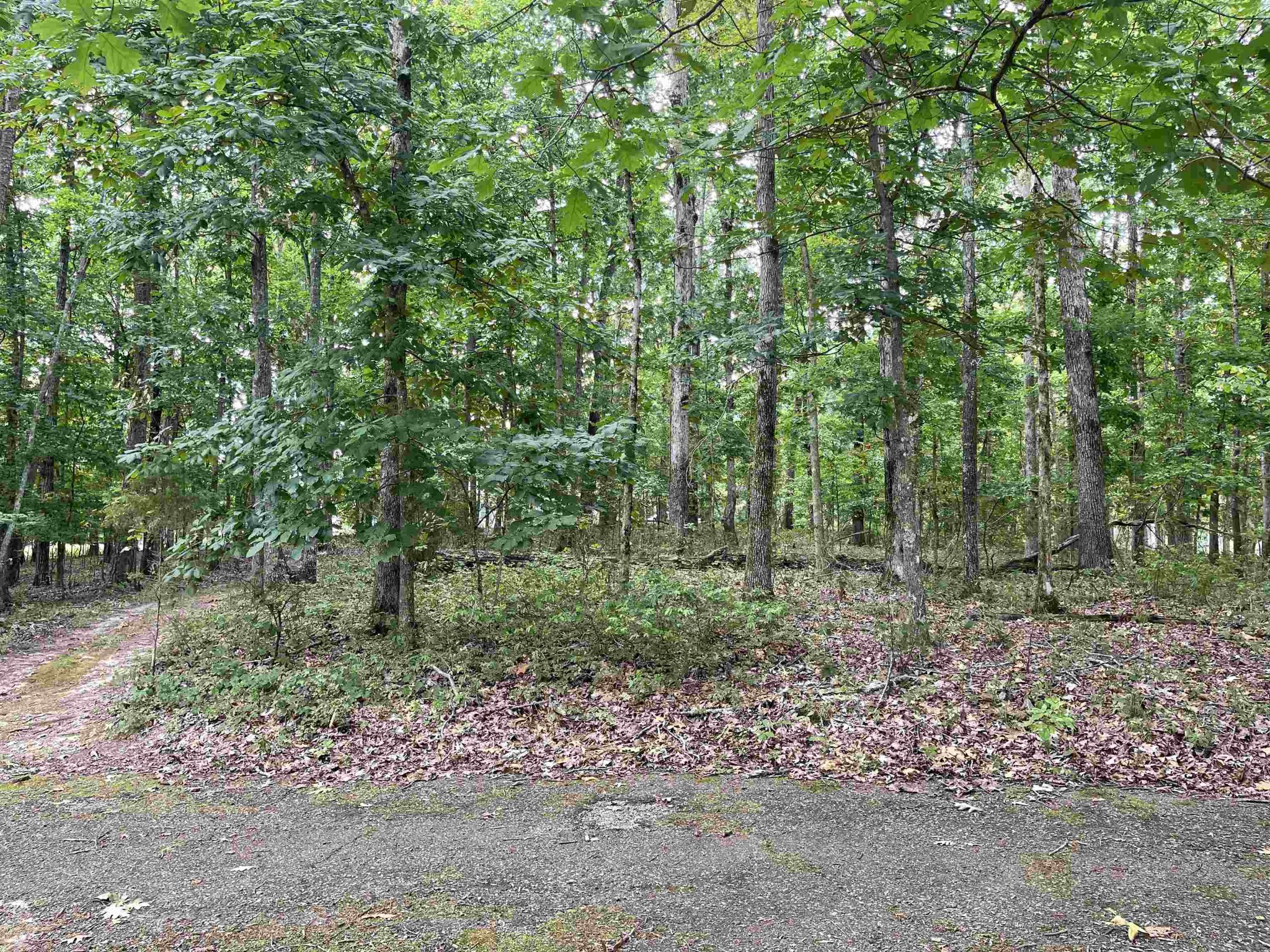 0 Sandpiper Point Counce, TN 38326 - Photo 1 of 5 Gallery Image 1