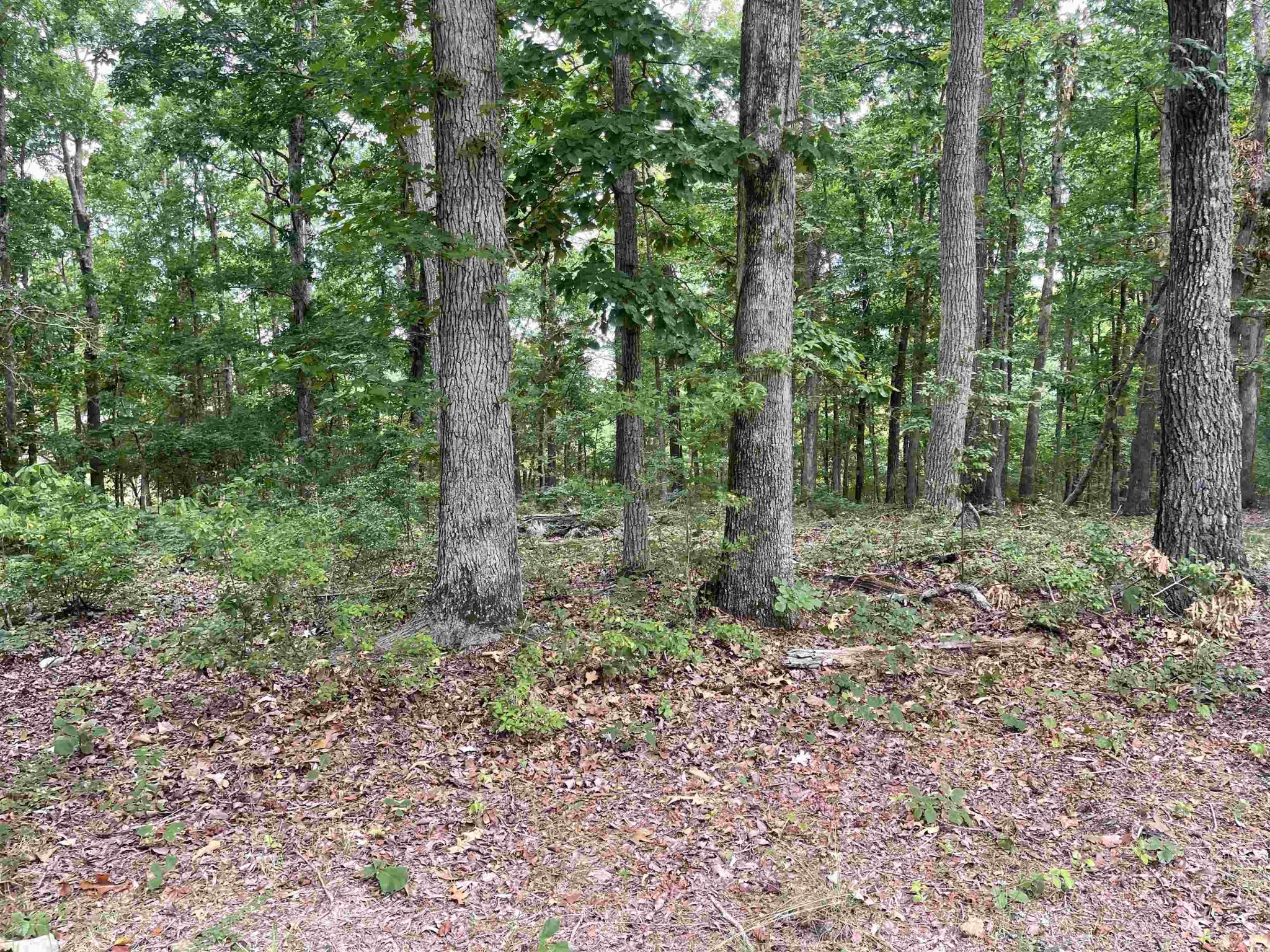 0 Sandpiper Point Counce, TN 38326 - Photo 2 of 5 Gallery Image 2