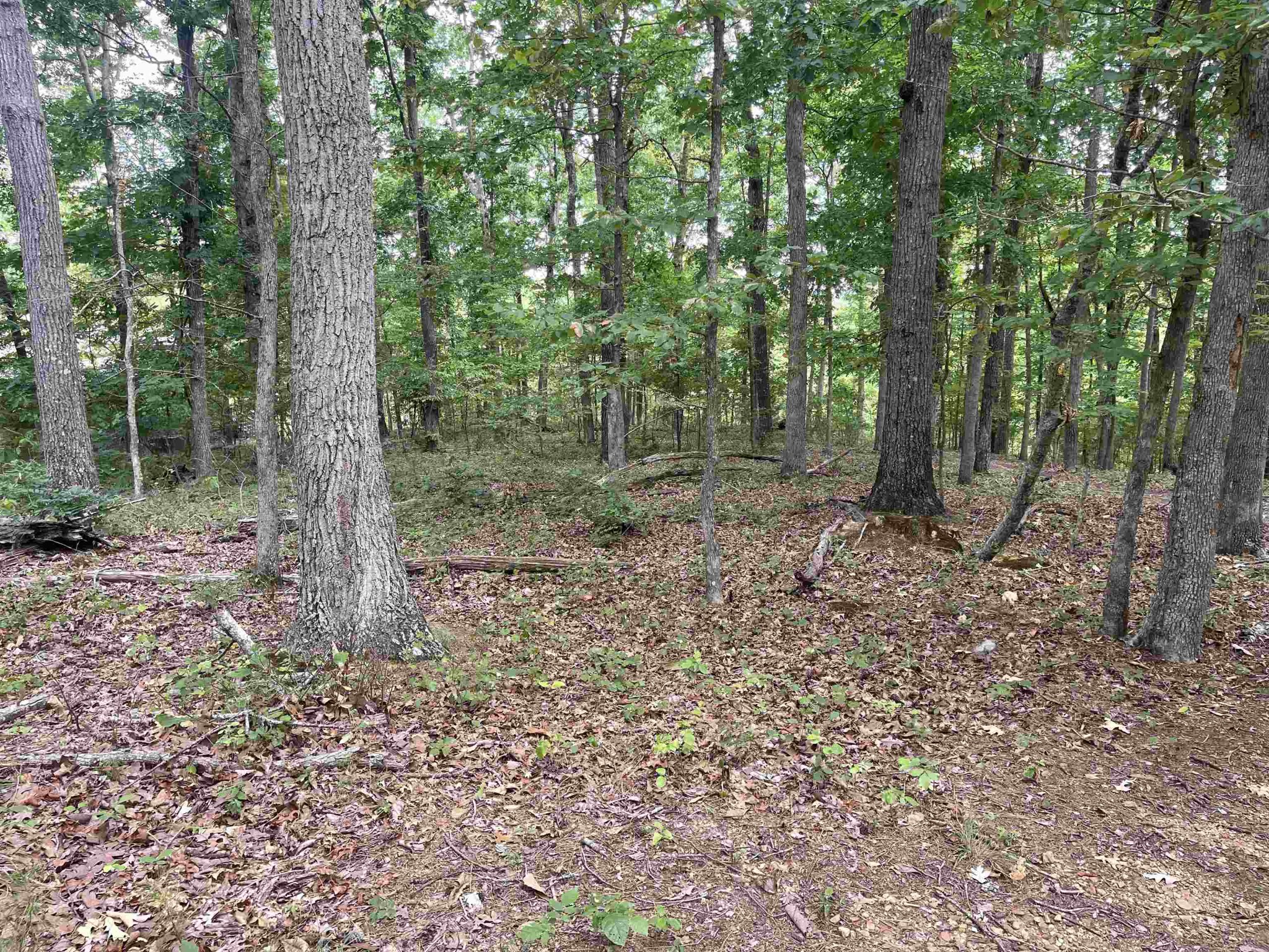 0 Sandpiper Point Counce, TN 38326 - Photo 3 of 5 Gallery Image 3