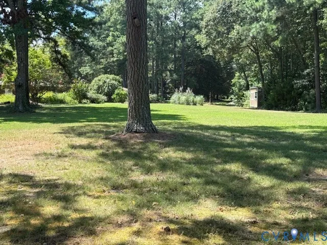a view of a trees with yard