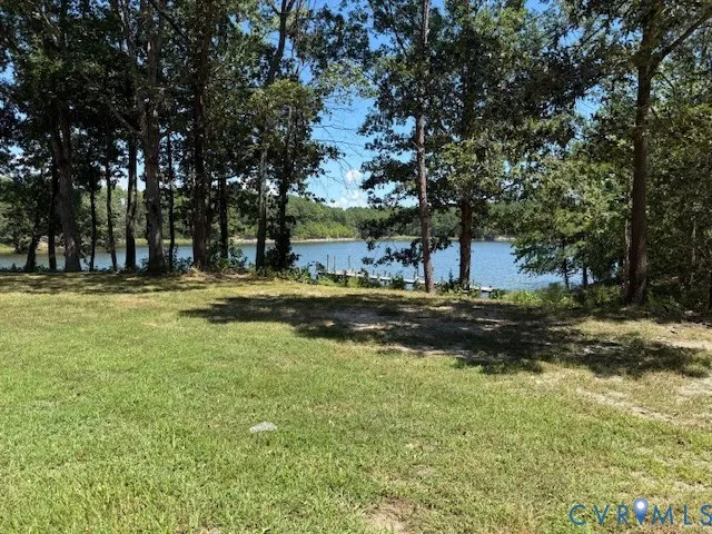 a view of a park with large trees
