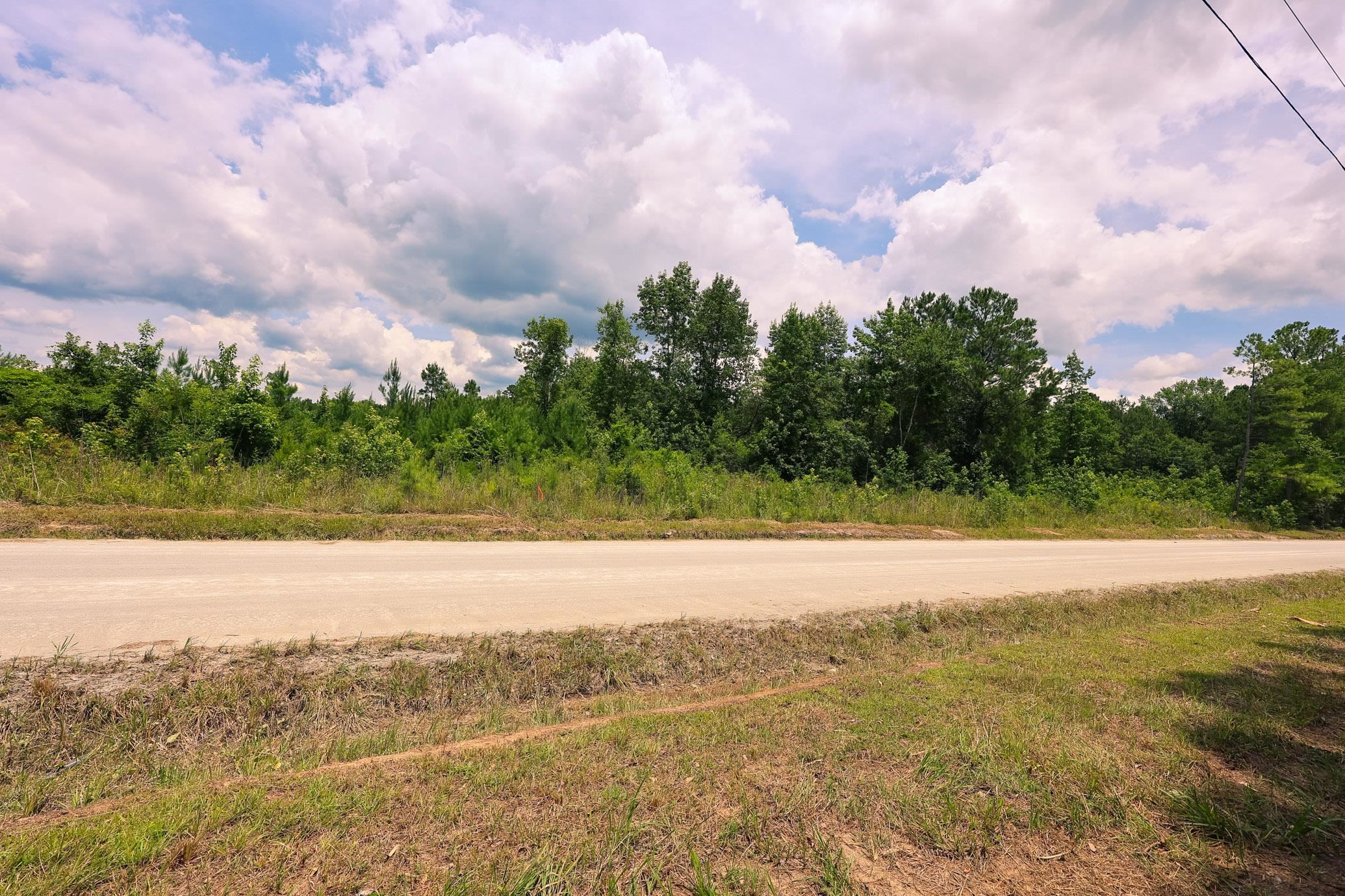 Lot C Lot C Friers Bay Road Loris, SC 29569 - Photo 6 of 7