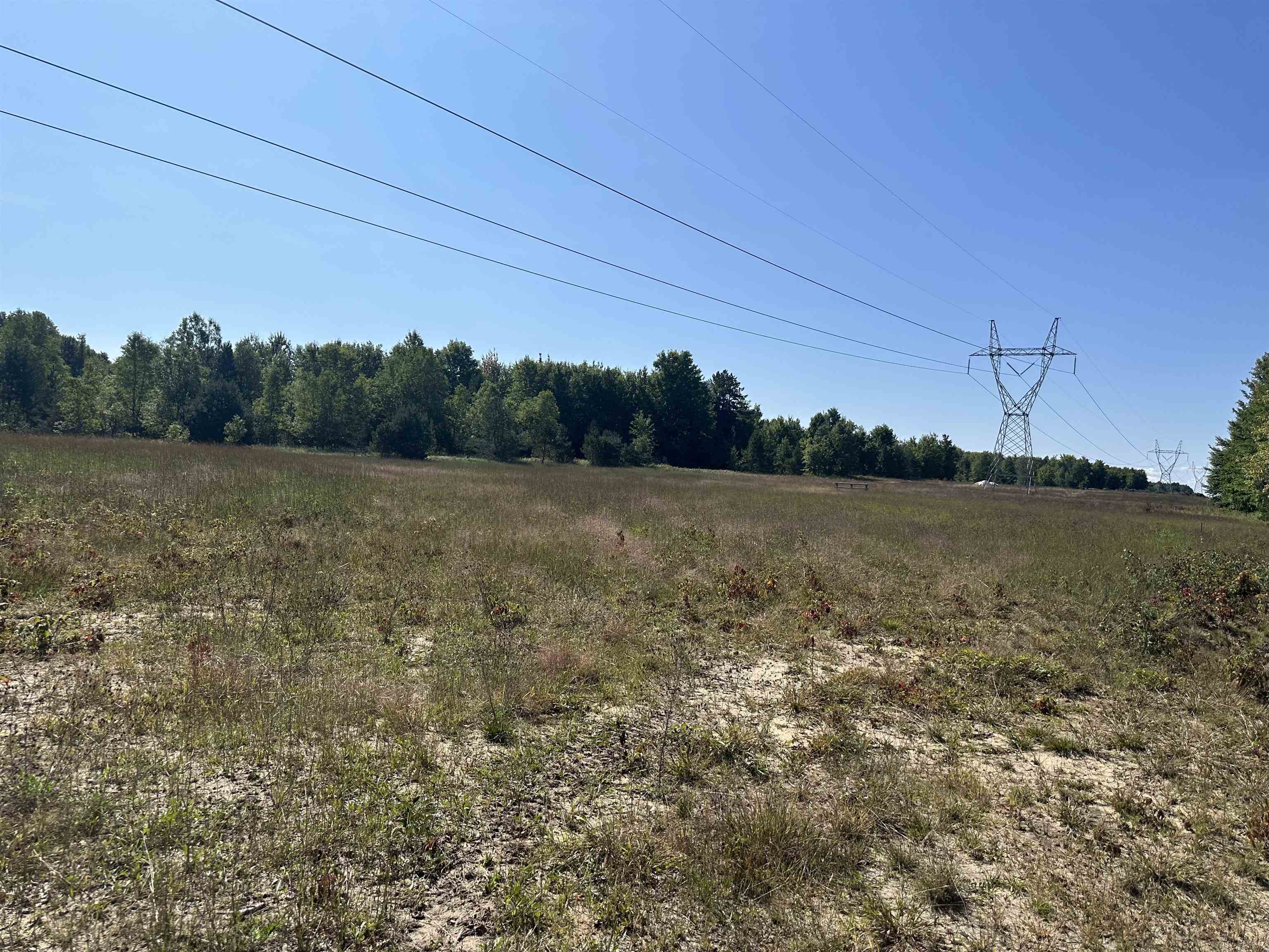 0 Viaduct Road Copemish, MI 49625 - Photo 13 of 19