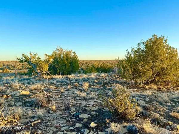 $32,500 | 5913 Dark Canyon Drive, Unit 97, Heber, AZ 85928