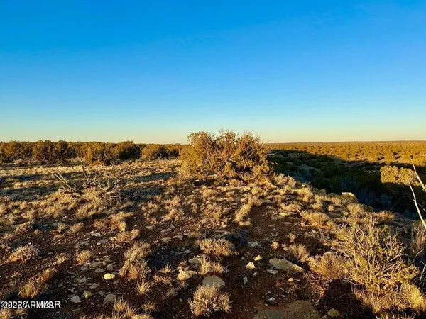 $32,500 | 5913 Dark Canyon Drive, Unit 97, Heber, AZ 85928