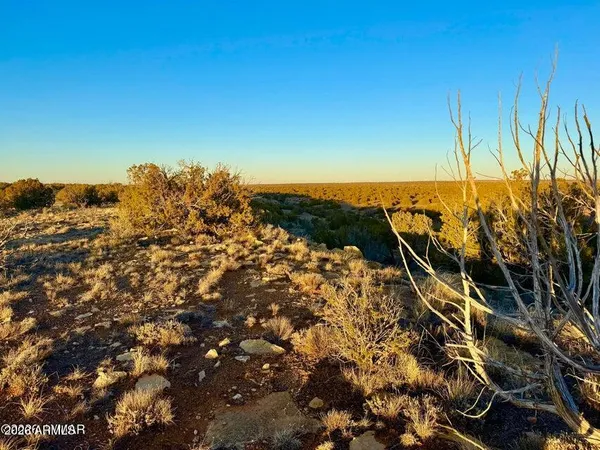 $32,500 | 5913 Dark Canyon Drive, Unit 97, Heber, AZ 85928