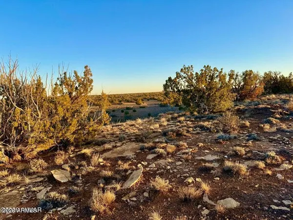 $32,500 | 5913 Dark Canyon Drive, Unit 97, Heber, AZ 85928