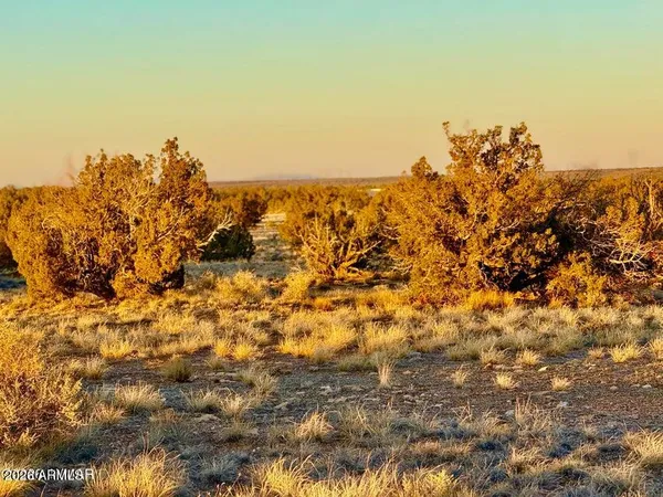 $32,500 | 5913 Dark Canyon Drive, Unit 97, Heber, AZ 85928