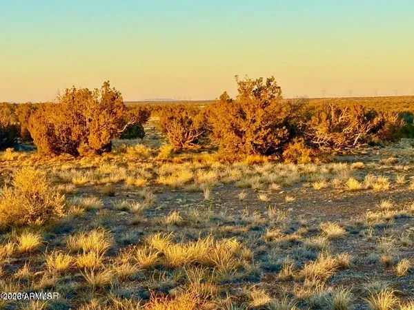 $32,500 | 5913 Dark Canyon Drive, Unit 97, Heber, AZ 85928