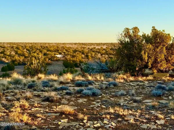 $32,500 | 5913 Dark Canyon Drive, Unit 97, Heber, AZ 85928