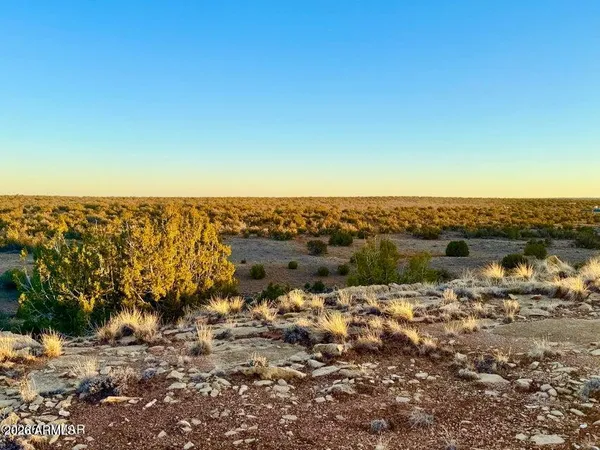 $32,500 | 5913 Dark Canyon Drive, Unit 97, Heber, AZ 85928