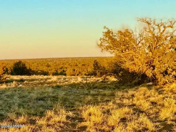 $32,500 | 5913 Dark Canyon Drive, Unit 97, Heber, AZ 85928