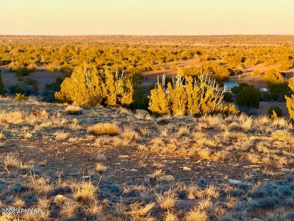 $32,500 | 5913 Dark Canyon Drive, Unit 97, Heber, AZ 85928