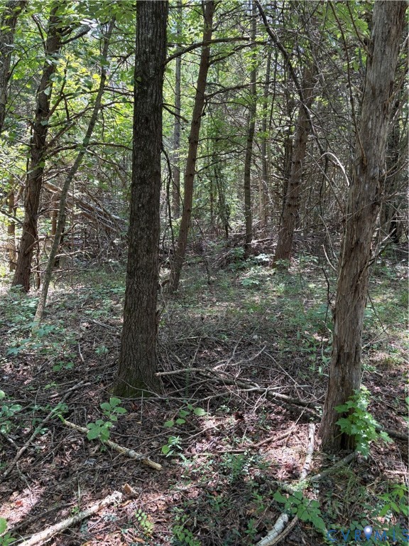 0 Cumberland Road Farmville, VA 23901 - Photo 4 of 10 View of nature