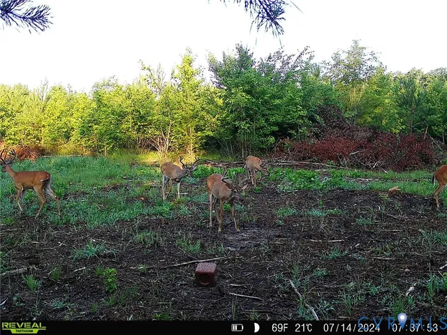 $139,950 | 0 Cumberland Road, Farmville, VA 23901