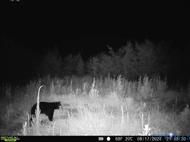 $139,950 | 0 Cumberland Road, Farmville, VA 23901