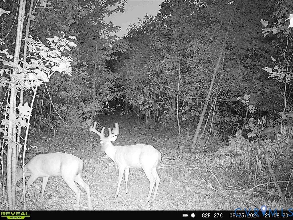 0 Cumberland Road Farmville, VA 23901 - Photo 8 of 10