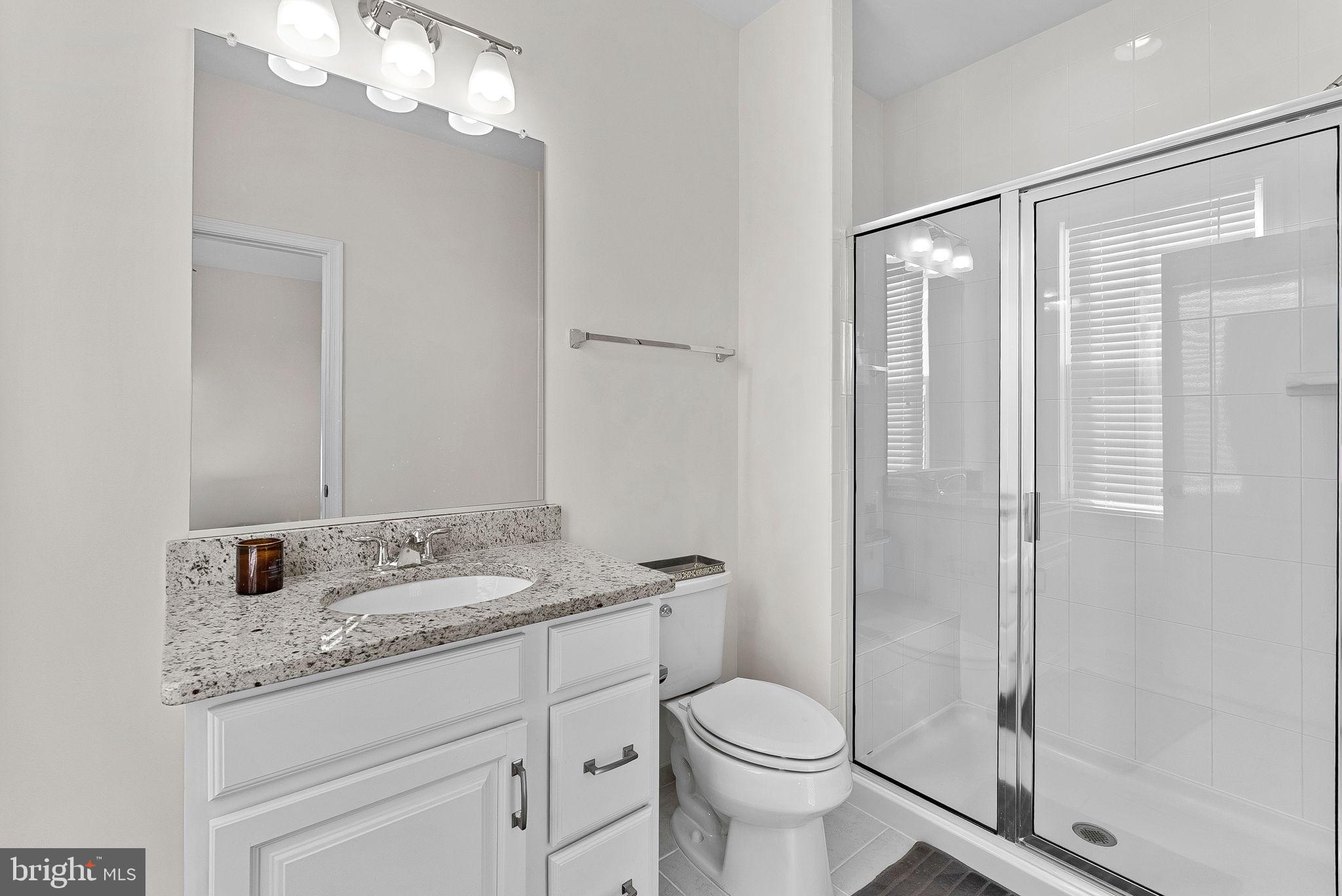 1010 Themis Street Southeast Leesburg, VA 20175 - Photo 39 of 64 a bathroom with a granite countertop sink a toilet and shower