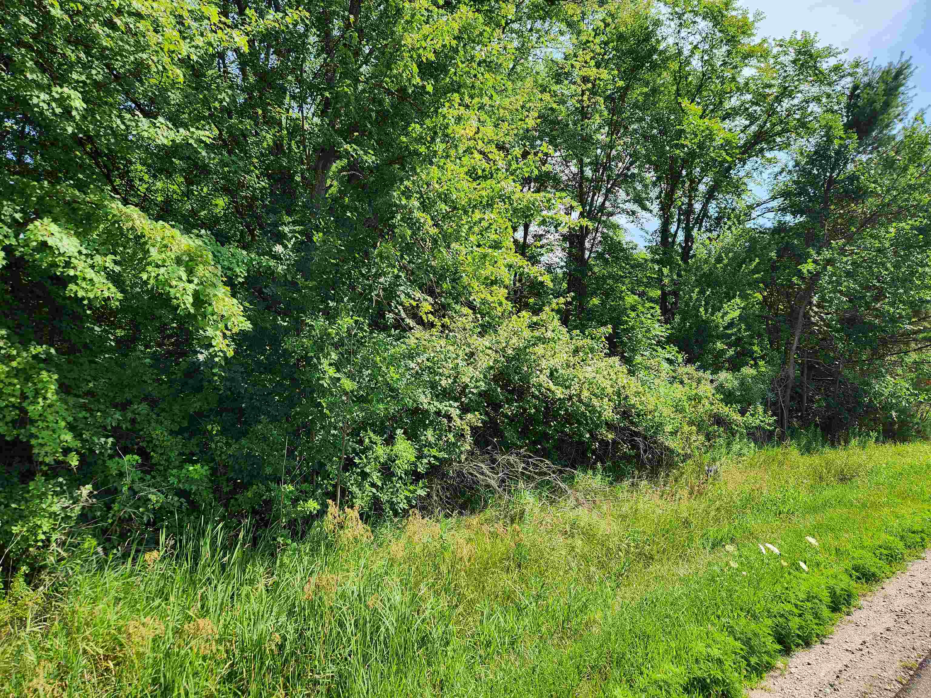 10-acres Beaverton Road Beaverton, MI 48612 - Photo 1 of 6