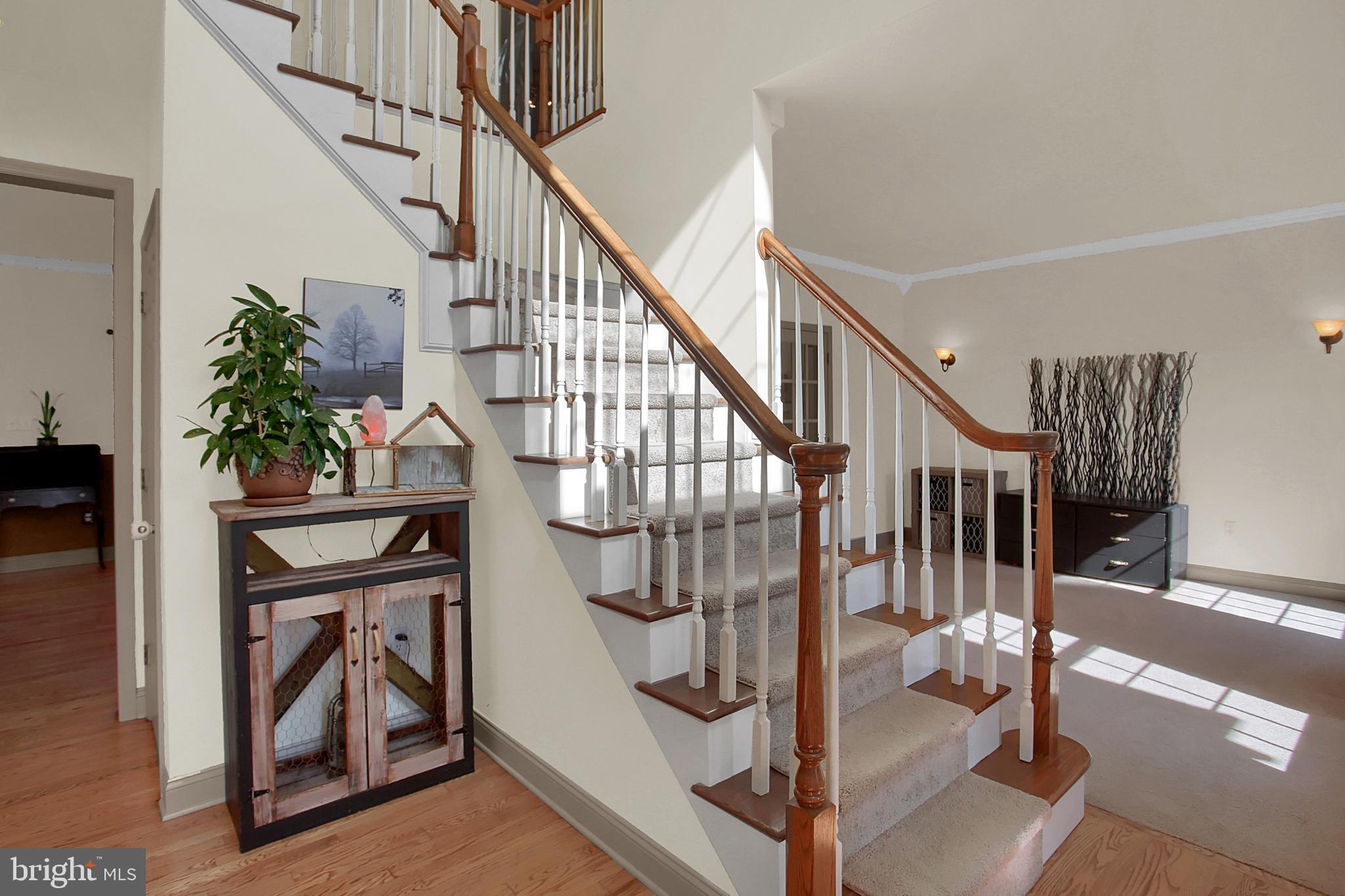 1325 Spring House Road Middletown, PA 17057 - Photo 3 of 61 Two story foyer with natural light