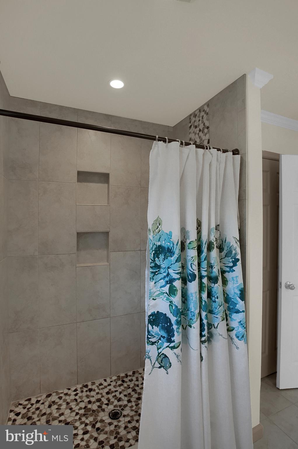 1325 Spring House Road Middletown, PA 17057 - Photo 30 of 61 Modern tiled shower