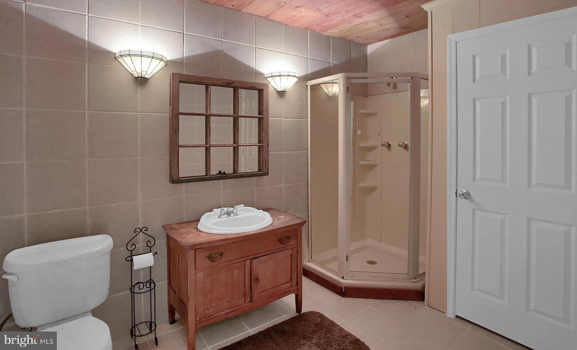 1325 Spring House Road Middletown, PA 17057 - Photo 40 of 61 Full Bath in lower level