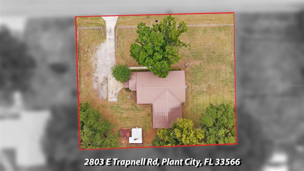 2803 East Trapnell Road Plant City, FL 33566 - Photo 45 of 58
