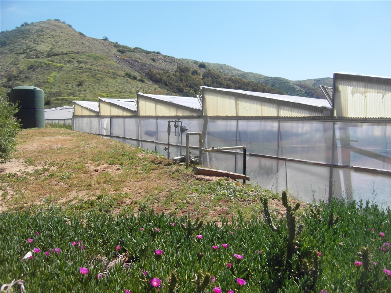 9109 Huntley Road Fallbrook, CA 92028 - Photo 16 of 22 Gallery Image 16