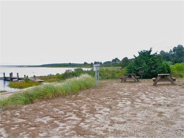 a view of a lake from a yard