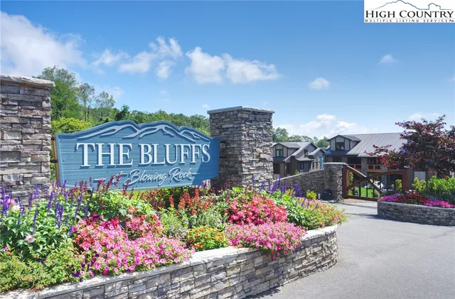 a view of a bunch of flowers