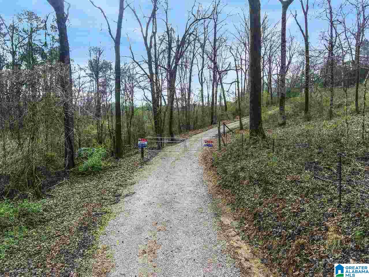 0 Spring Creek Road, Unit 30 AC Calera, AL 35040 - Photo 5 of 20