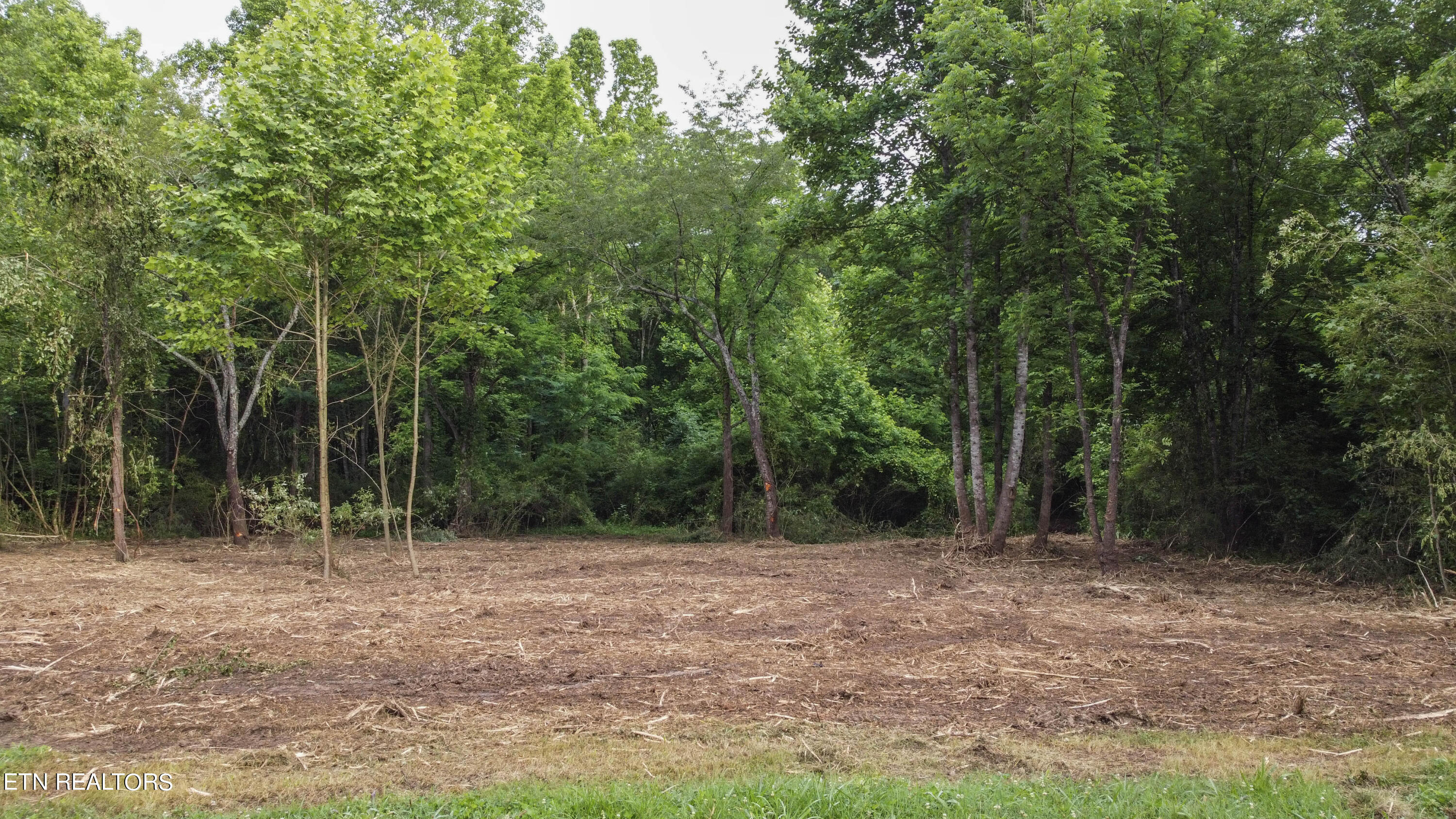 Lot #4 Emory River Road Harriman, TN 37748 - Photo 28 of 35 lot 1-12