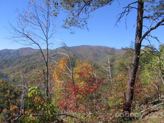 14 Blue Vista Road, Unit 14 Canton, NC 28716 - Photo 1 of 17 Gallery Image 1
