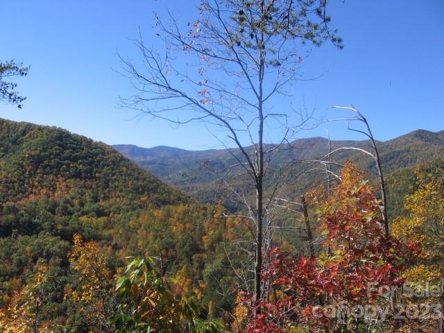 14 Blue Vista Road, Unit 14 Canton, NC 28716 - Photo 11 of 17 Gallery Image 11