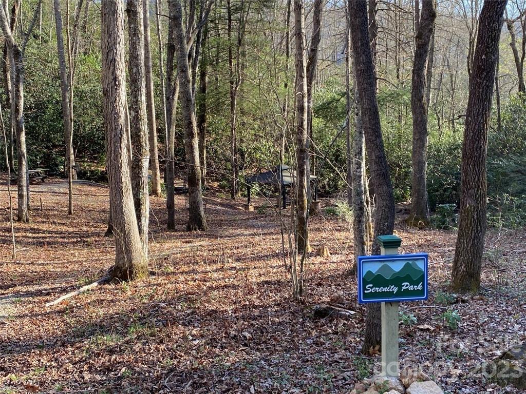 14 Blue Vista Road, Unit 14 Canton, NC 28716 - Photo 16 of 17 Gallery Image 16