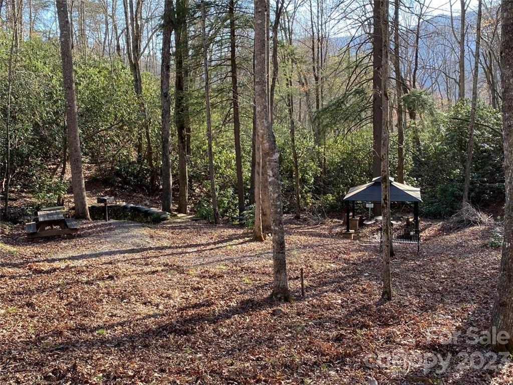 14 Blue Vista Road, Unit 14 Canton, NC 28716 - Photo 17 of 17 Gallery Image 17