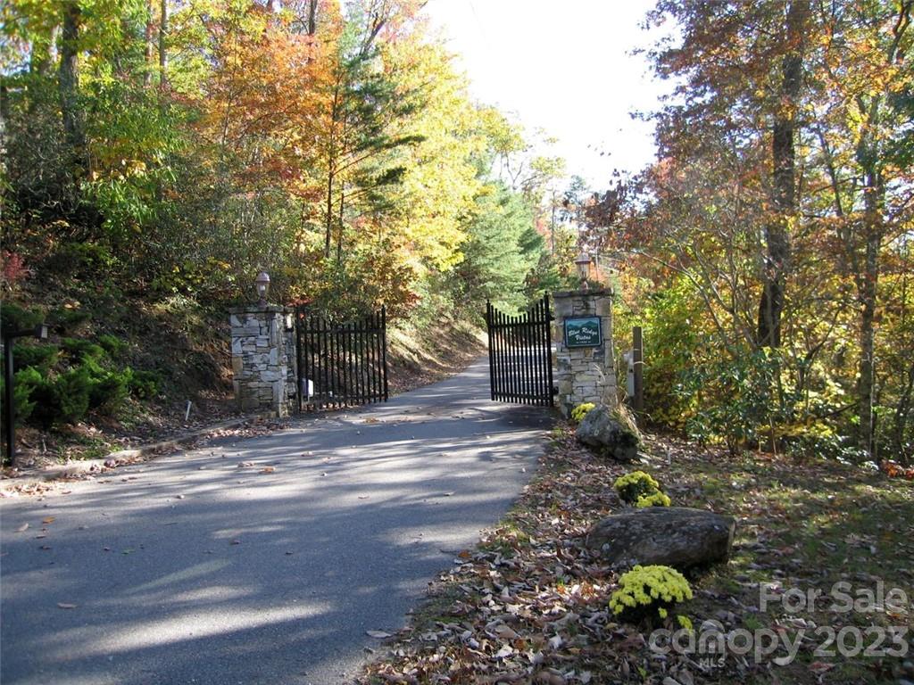 14 Blue Vista Road, Unit 14 Canton, NC 28716 - Photo 3 of 17 Gallery Image 3