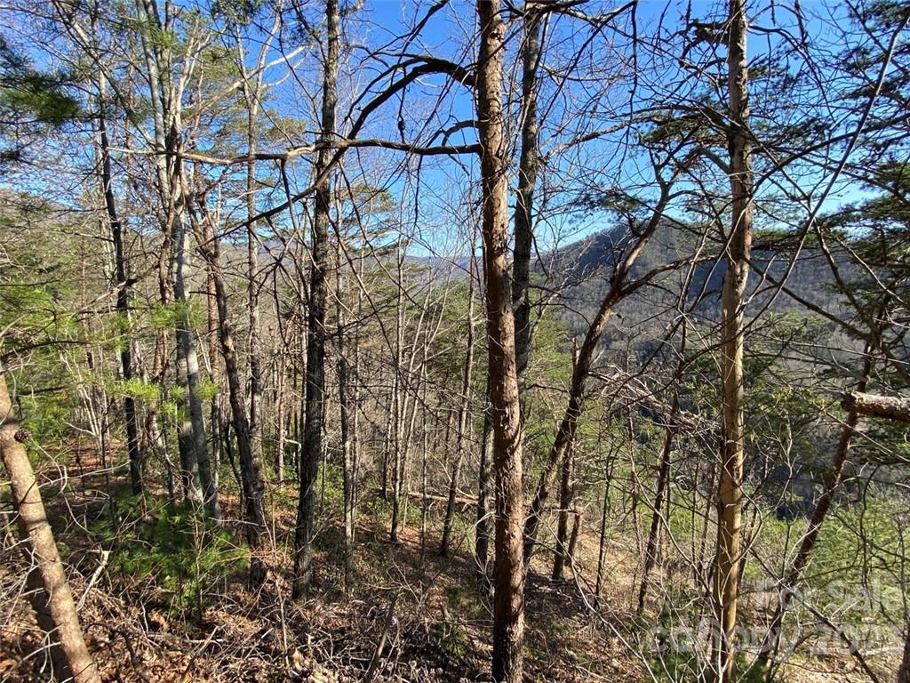 14 Blue Vista Road, Unit 14 Canton, NC 28716 - Photo 4 of 17 Gallery Image 4