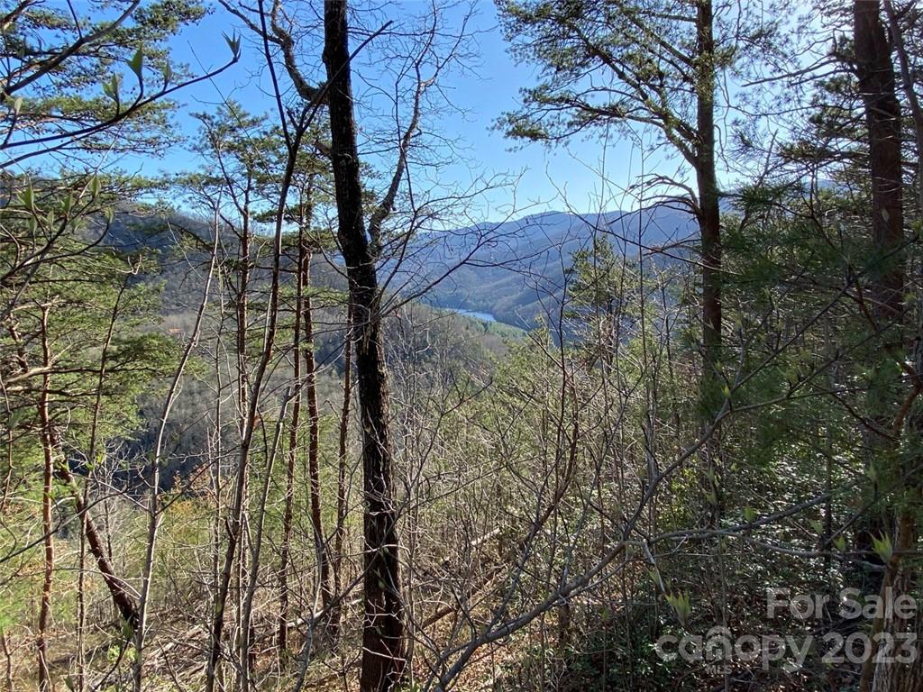 14 Blue Vista Road, Unit 14 Canton, NC 28716 - Photo 5 of 17 Gallery Image 5